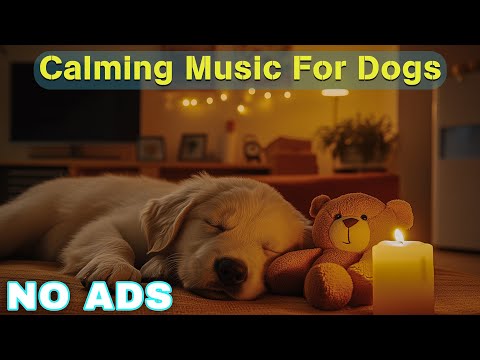 12 HOURS of Relaxing Music For Dogs💖🐶Anti Separation Anxiety Relief🐶💖Pet music🎵 Deep Sleep🐶