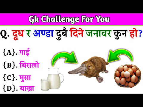 Gk Questions And Answers in Nepali।। Gk Questions।। Part 561।। Current Gk Nepal