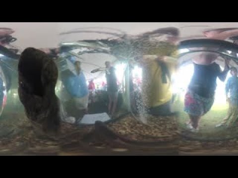 360 Aquarium Video