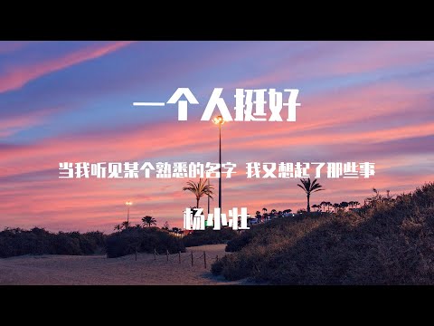 杨小壮 - 一个人挺好 【動態歌詞】「当我听见某个熟悉的名字 我又想起了那些事」♪Lyrics Video♪