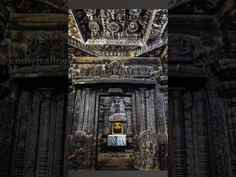 The pride of Karnataka. Hoysaleshwara Temple, Halebeedu. #indiantemples  #indianarchitecture #shorts