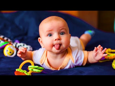 Try Not To Laugh With Funny Baby Videos Compilation