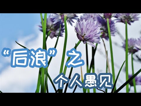 观演讲《后浪》有感：一个没有真诚的公共言论是缺乏价值的