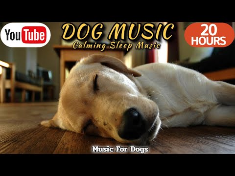 20 HOURS of Dog Calming Music🐶🎵Dog Separation Anxiety Music💖🦮Music for Dogs to Sleeping⭐Healingmate