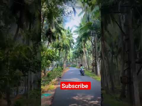 Nature videos #youtubeshorts #viral #balagam #palleturu #love #music #song