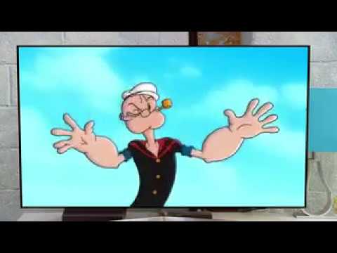 Popeye on PROJECT RUNWAY