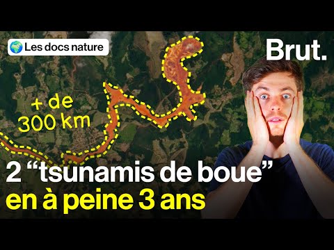 Jusqu’où peuvent aller les "tsunamis de boue" au Brésil ?