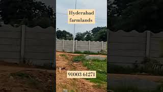 #hyderabadfarmlands #narsapurfarmland#property #hyderabadrealestate #farmplots