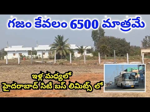 open plot for sale 6500 per sqryard only || Near Hyderabad || Shamshaba ||