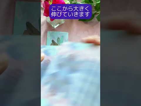 【タロット】🌟今のあなたに必要な一言メッセージ💌✨🌈🎄🔮