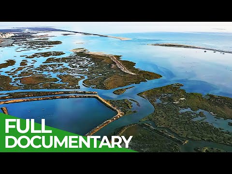 Wild Portugal: Ria Formosa - A Natural Wonder | Free Documentary Nature