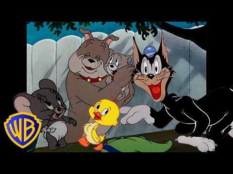 Tom & Jerry | Best Side Characters! 🐣🐶 | Classic Cartoon Compilation | @wbkids​