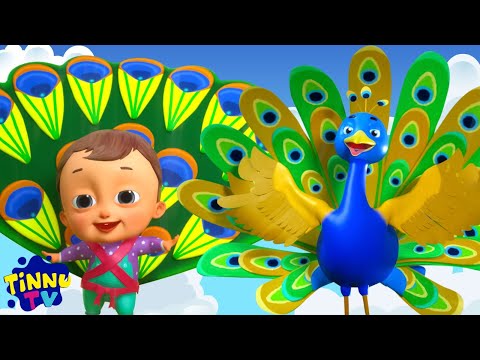 Nach Re Mor, नाच रे मोर, Rhymes In Hindi and Kids Cartoon Videos