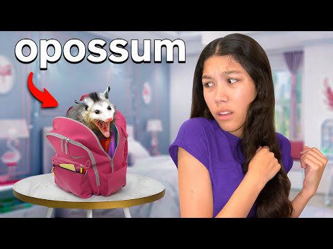 We FOUND A HUGE Opossum In Our HOUSE...*Shocking*