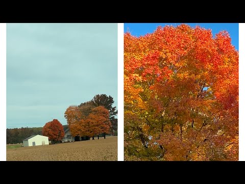 The fall foliage is calling, so it's time to hit the road |Life’s Little Joyz|#beautiful#fallcolors