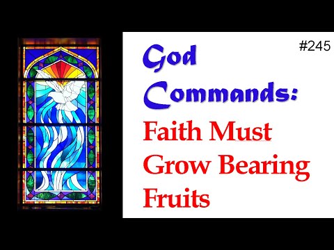 245 - God Commands - Faith Must Grow Bearing Fruits