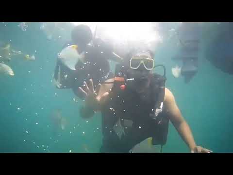 Scuba Diving|Scuba Diving at Goa|Scuba diving experience|Amazing Scuba diving| #scubadiving #ytviral