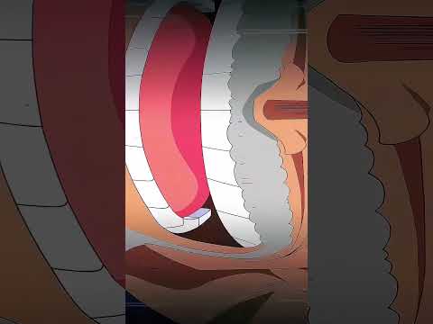 Garp's GALAXY IMPACT Animated(credit @ZOLANIME) #onepiece #luffy #trending #garp #ch1080 #shorts