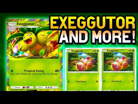 Exeggutor Gaming, then deck optimization stuff. | Pokemon Pocket