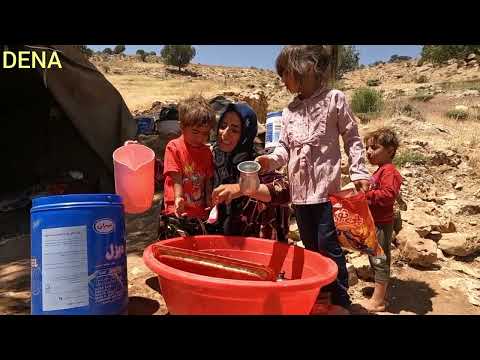 Daily Life of Nomads & Tribal Friendly Meeting 🏕️👥