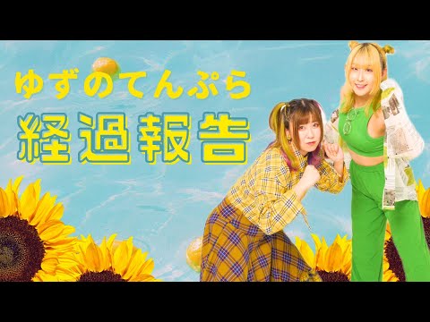 【熱い夏が】経過報告🌻【始まる】