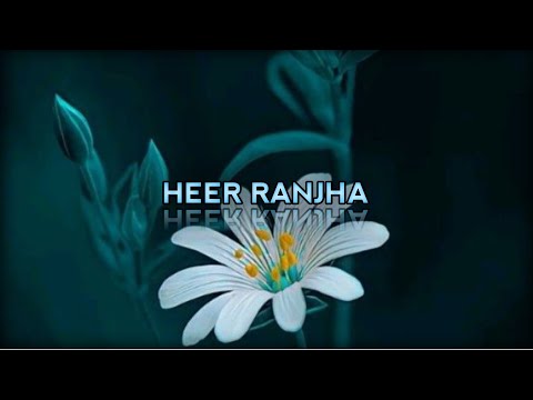 Heer ranjha status 🖇️ | Heer ranjha whatsapp status | Rito ribo love status ❤️