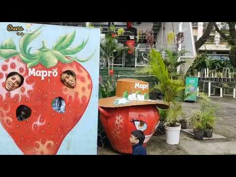 Mapro Garden Lonavala, one day trip to lonavla. strawberry crush,  mapro retail store tour.