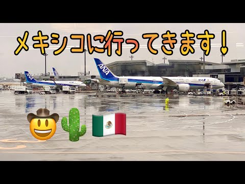 【出発直前ライブ】今回私がチャレンジしたことをシェアしてから旅立ちます✈️🇲🇽