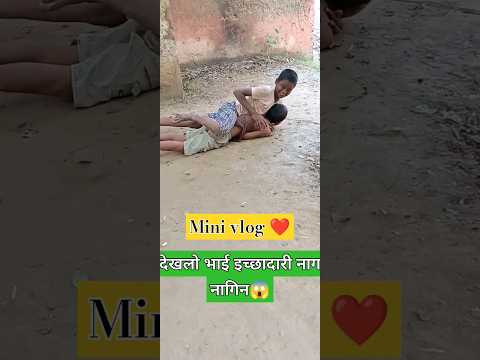 Dono saap ban gaye 😱 #vlog #shorts #viral #trending #snake #funny #reels #feed #shortvideo #ytshorts