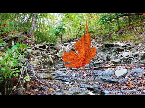 Simply Autumn Stream Falling Leaves Nature Ambience Soft Piano Music ASMR