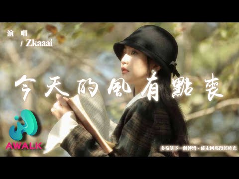 Zkaaai - 今天的風有點喪『多希望下一個轉彎，能走回那段舊時光。』【動態歌詞 | Pinyin Lyrics】【AWALK MUSIC】