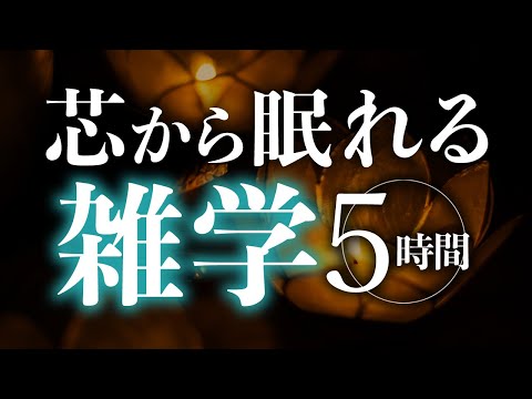 【睡眠導入】芯から眠れる雑学5時間【合成音声】