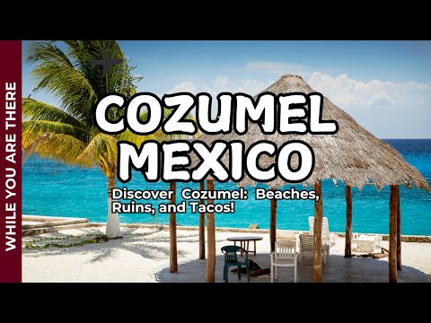 Discover Cozumel Beaches, Ruins, and Tacos!