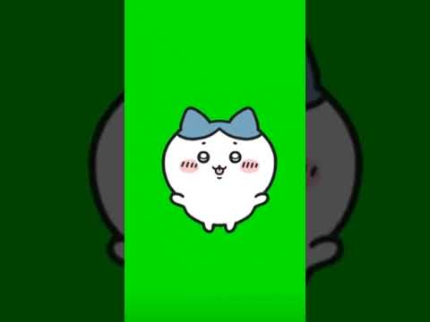 ハチワレミーム素材 #catmemes #gb素材