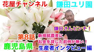 【花屋チャンネル】鎌田さんピンチ‼️お金が借りれない⁉️生産者インタビュー‼️鹿児島県の百合農家‼️鎌田洋平さんの開業話#鎌田ユリ園#百合農家#オリエンタル#百合#鹿児島#鎌田洋平#生産者#ユリ