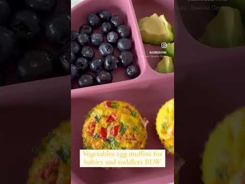 Vegetable egg muffins for babies and toddlers BLW , great weaning recipe Food for babies and toddler