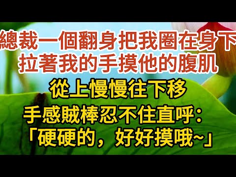 《偷來的幸福》第12集：總裁一個翻身把我圈在身下，拉著我的手摸他的腹肌，從上慢慢往下移，手感賊棒忍不住直呼：「硬硬的，好好摸哦~」…… #戀愛#婚姻#情感 #愛情#甜寵#故事#小說#霸總