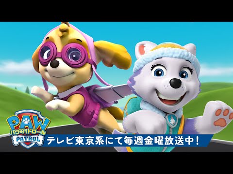 パウ・パトロール | パウ・パトロールの力強いガールズレスキュー！ | テレビ東京系にて放送中