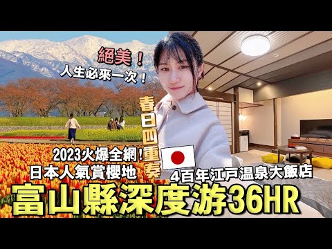 美哭了！2023最新全日本中部絕美賞櫻勝地！🌸體驗4百年江戶歷史溫泉大飯店~春日四重奏~翡翠海岸~朝日町當地人氣美食【日本富山縣深度游】│日本旅遊Vlog│Kodootv