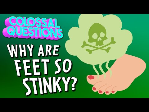 Why Are Feet So Stinky? | COLOSSAL QUESTIONS