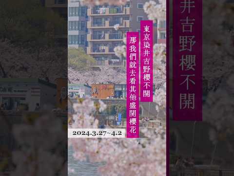 哭😭現在東京櫻花都沒開怎麼辦？2種早開櫻11個小景點大統整｜2024東京賞櫻 #東京旅行 #東京櫻花 #櫻花 #賞櫻 #日本 #日本櫻花