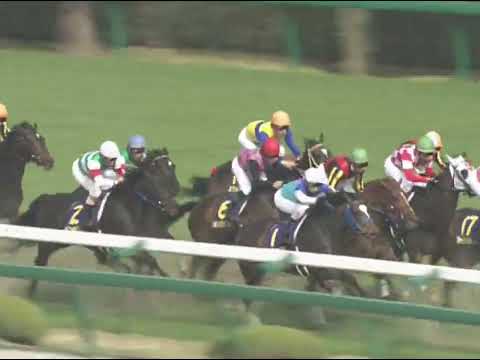 シーザリオ 2005年 第65回桜花賞(GI) (優勝馬：ラインクラフト)