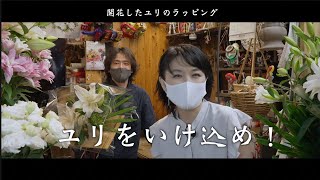 「ユリをいけ込め！」開花したユリのラッピング本編　横浜 花日和＿出崎徹