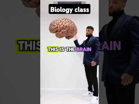 GCSE Biology - Brain Rap