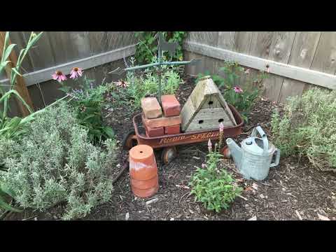 A Garden Video - After the Rain