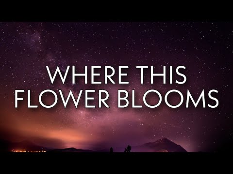 Tyler, The Creator - Where This Flower Blooms (Lyrics) Ft. Frank Ocean