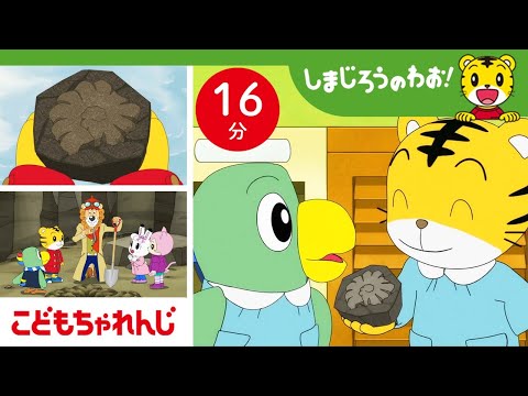 【16分アニメ】化石をはっけん！ここは昔、海だったんだね！ | 自然 | しまじろうのわお！アニメ | しまじろうチャンネル公式