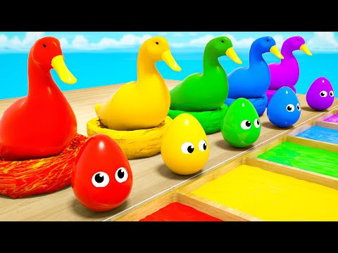 5 Giant Duck Cartoon, Surprise Eggs Song | Baby Shark song | Baby Nursery Rhymes & Kids Songs