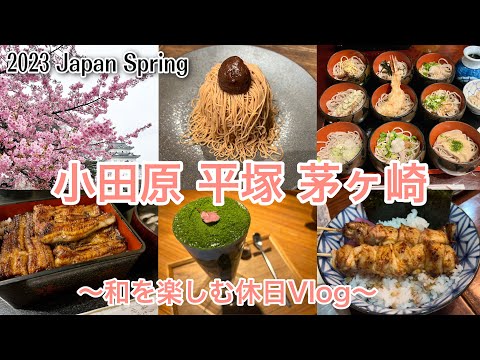 【2023🌸小田原＆湘南で春を楽しむ】#休日vlog  🇯🇵🏯✨#小田原グルメ#湘南グルメ#japanesefood#japanesespring