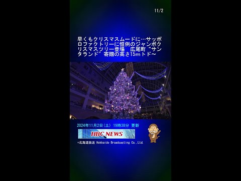 早くもクリスマスムードに…サッポロファクトリーに恒例のジャンボクリスマスツリー登場　広尾町“サンタランド”寄贈の高さ15ｍトドマツがキラキラ #Shorts